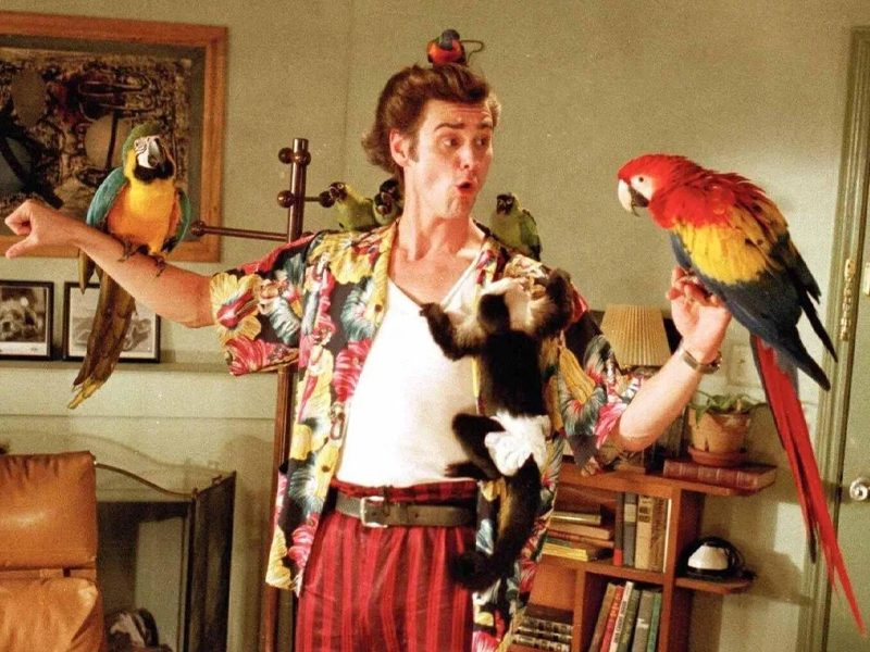 Ace Ventura: Pet Detective