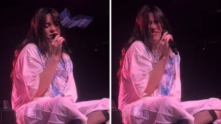 Billie Eilish hit in face on stage during emotional performance as fan