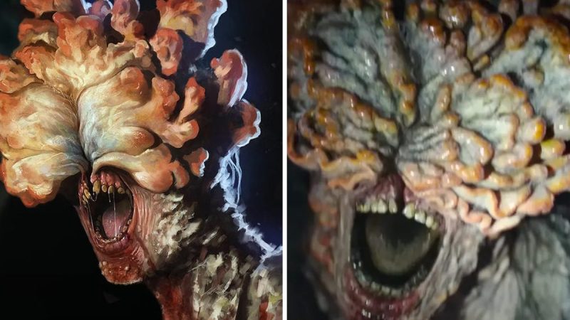 Cordyceps ‘zombie fungus’ that inspired The Last of Us video game series found in Scotland
