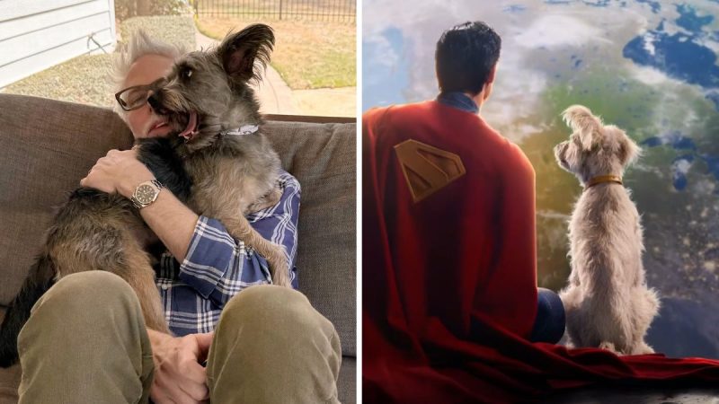 James Gunn confirms Krypto will join David Corenswet’s DCU Superman with cute dog reveal