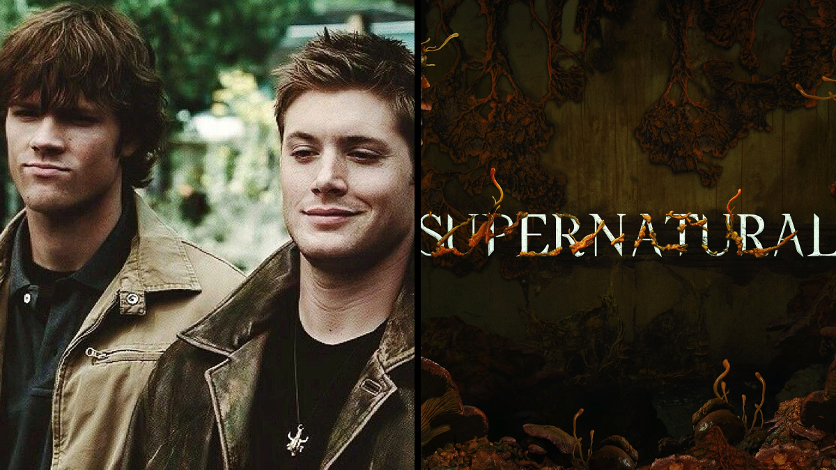 Supernatural reboot hopes reach all time high as show debuts new ‘The Last of Us’ themed logo